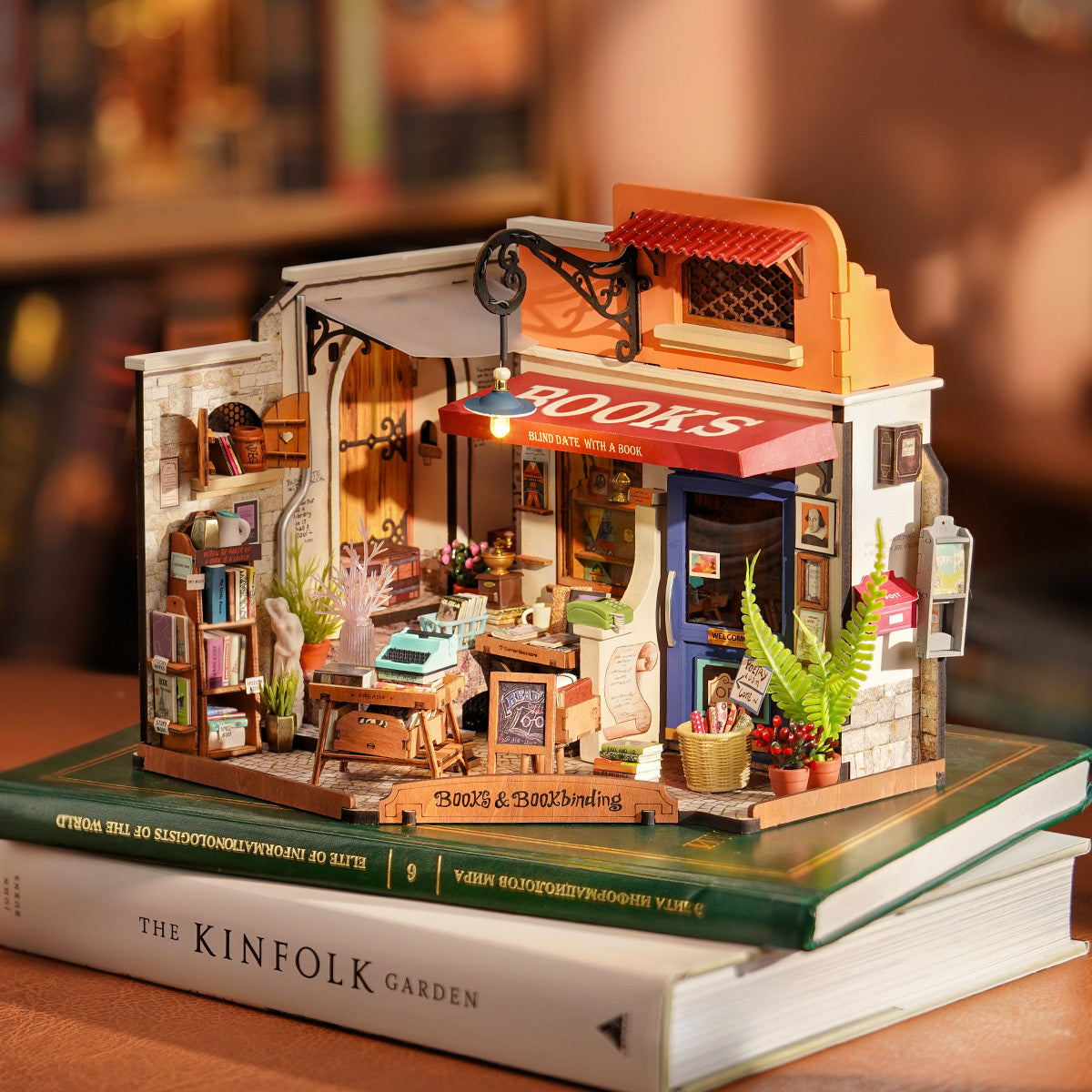 Corner Bookstore DG164
