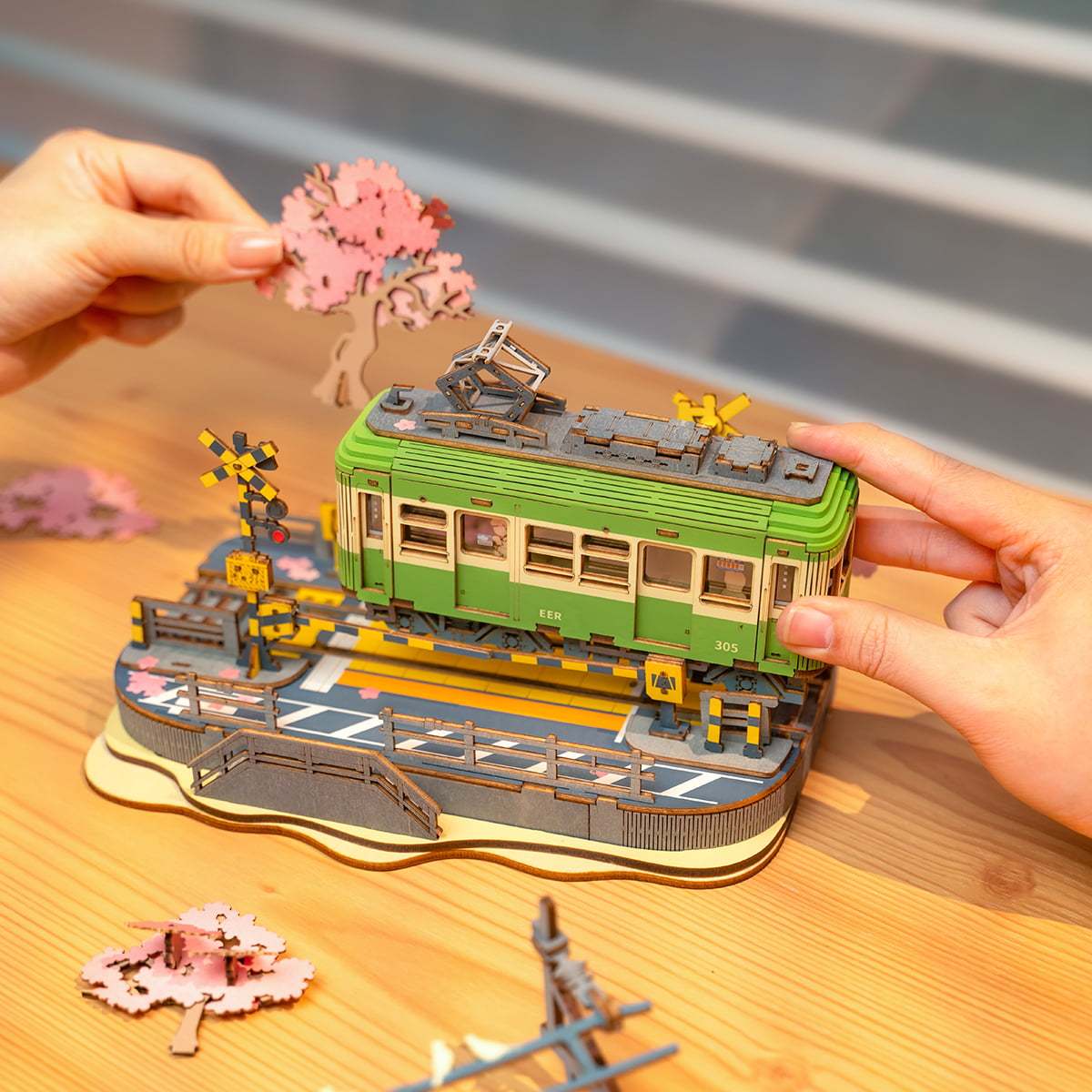 Sakura Journey TGS02