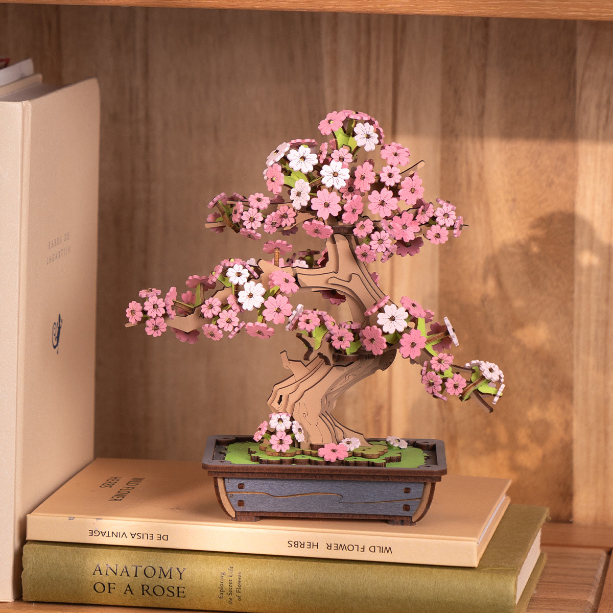 Sakura Bonsai TG415
